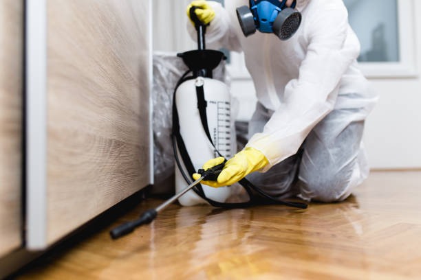 Best Termite Control Services  in Elk Mound, WI