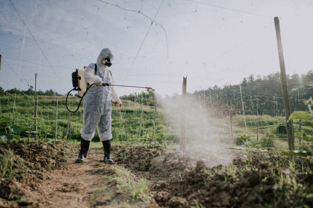 Best Pest Removal Services  in Elk Mound, WI
