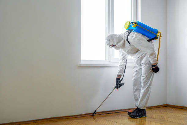 Best Residential Pest Control  in Elk Mound, WI
