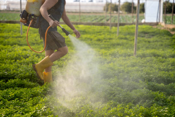 Best Pest Control Near Me  in Elk Mound, WI