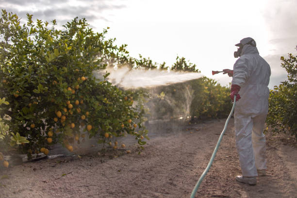 Best Local Pest Control Services  in Elk Mound, WI