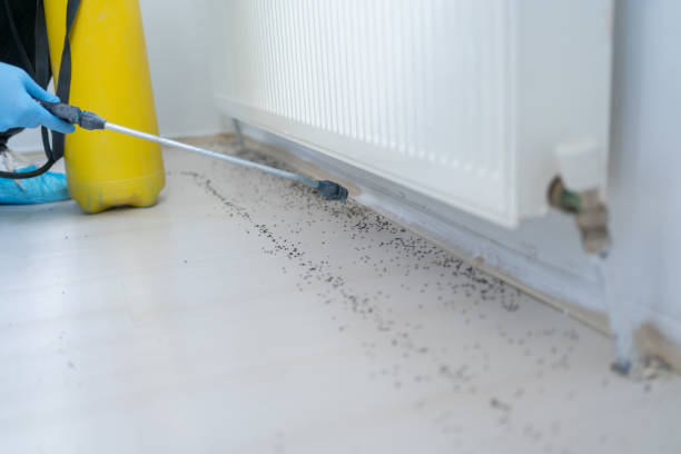 Best Pest Control for Homes  in Elk Mound, WI