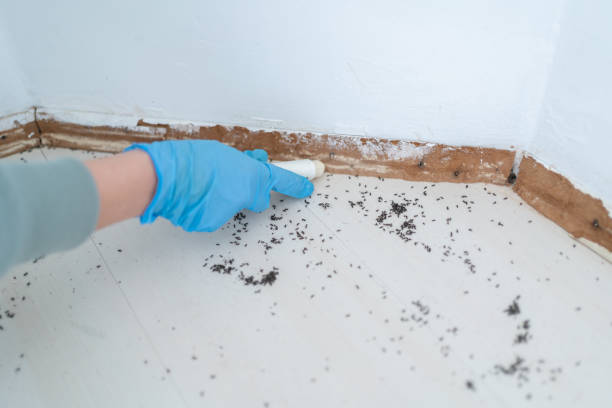 Elk Mound, WI Pest Control Company