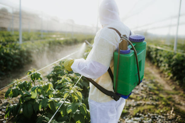 Best Commercial Pest Control Services  in Elk Mound, WI